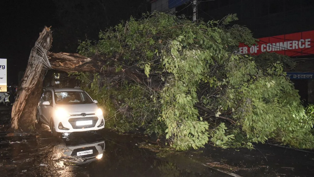 Delhi NCR storm, hailstorm damage, Delhi weather, NCR rain storm