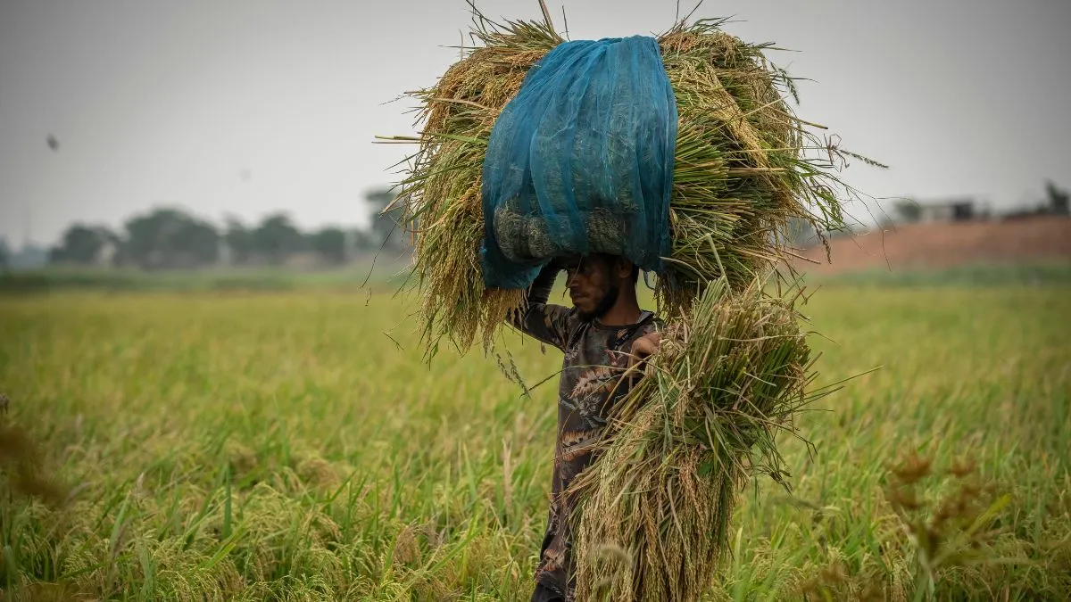 Un, United Nations, Economy, Indian Economy, Indian Economic Growth, Indian Growth Rate, India Growt