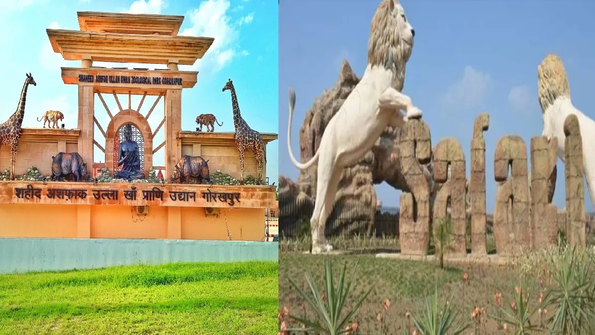 गोरखपुर चिड़ियाघर और इटावा लायन सफारी- India TV Hindi