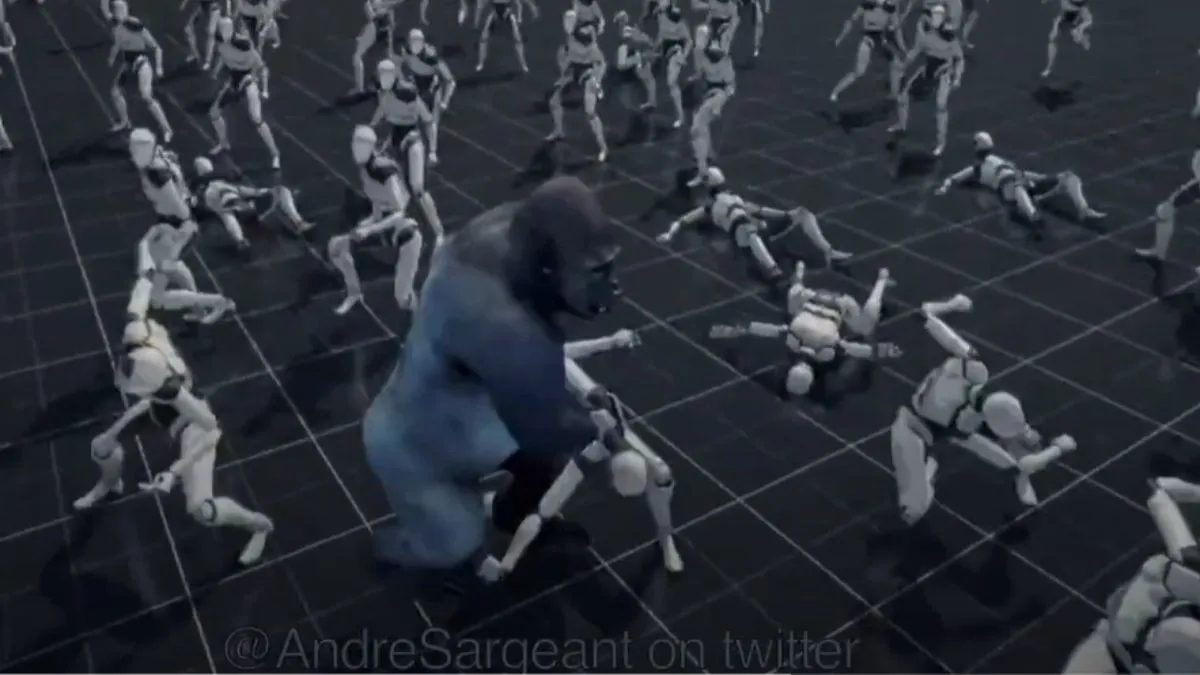 Gorilla vs Humans, Strength, Intelligence, Evolution, Silverback Gorilla