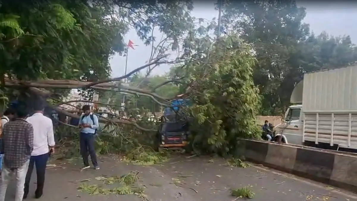 Gujarat rain- India TV Hindi