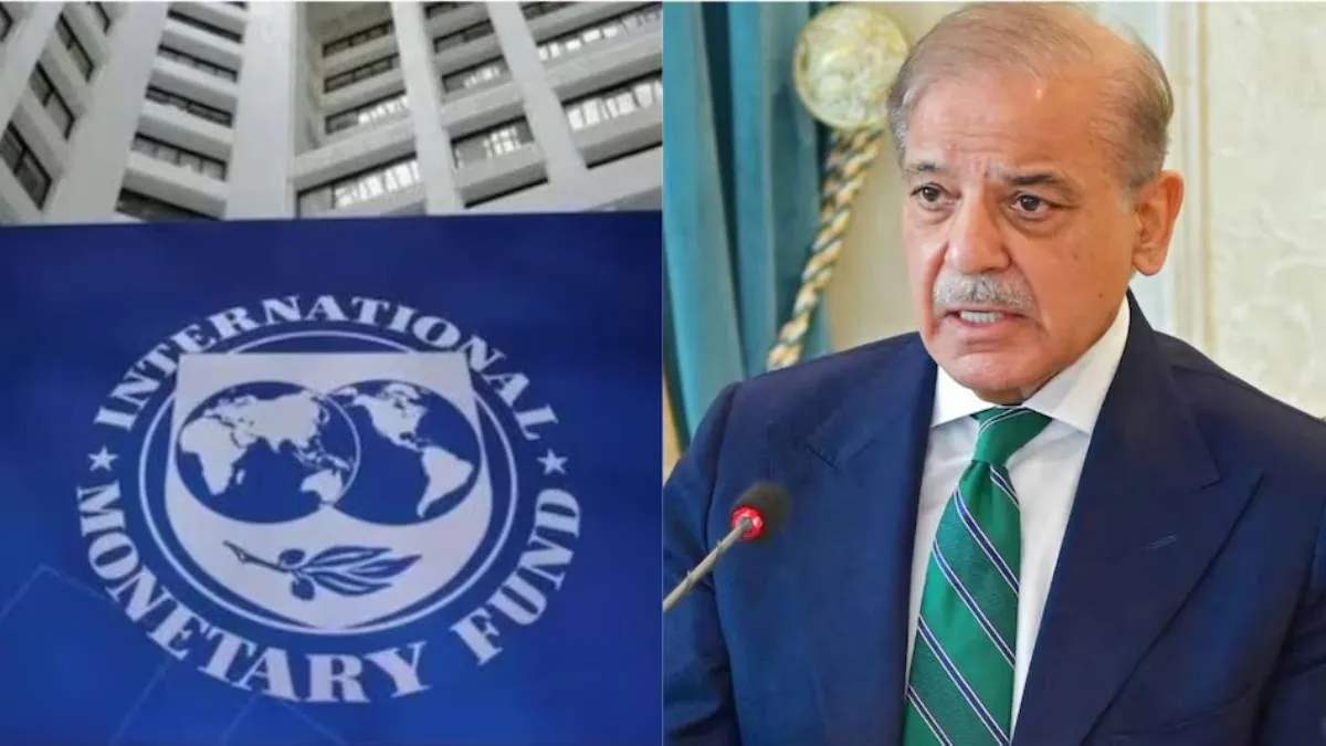 IMF