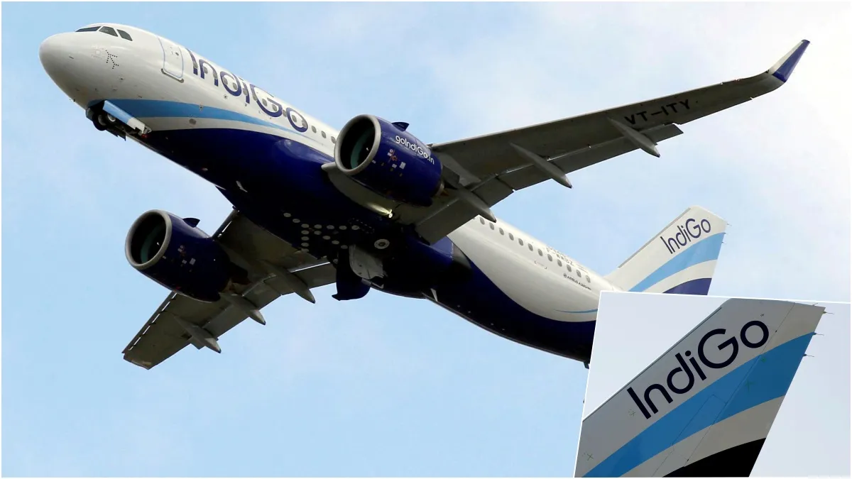 Indigo