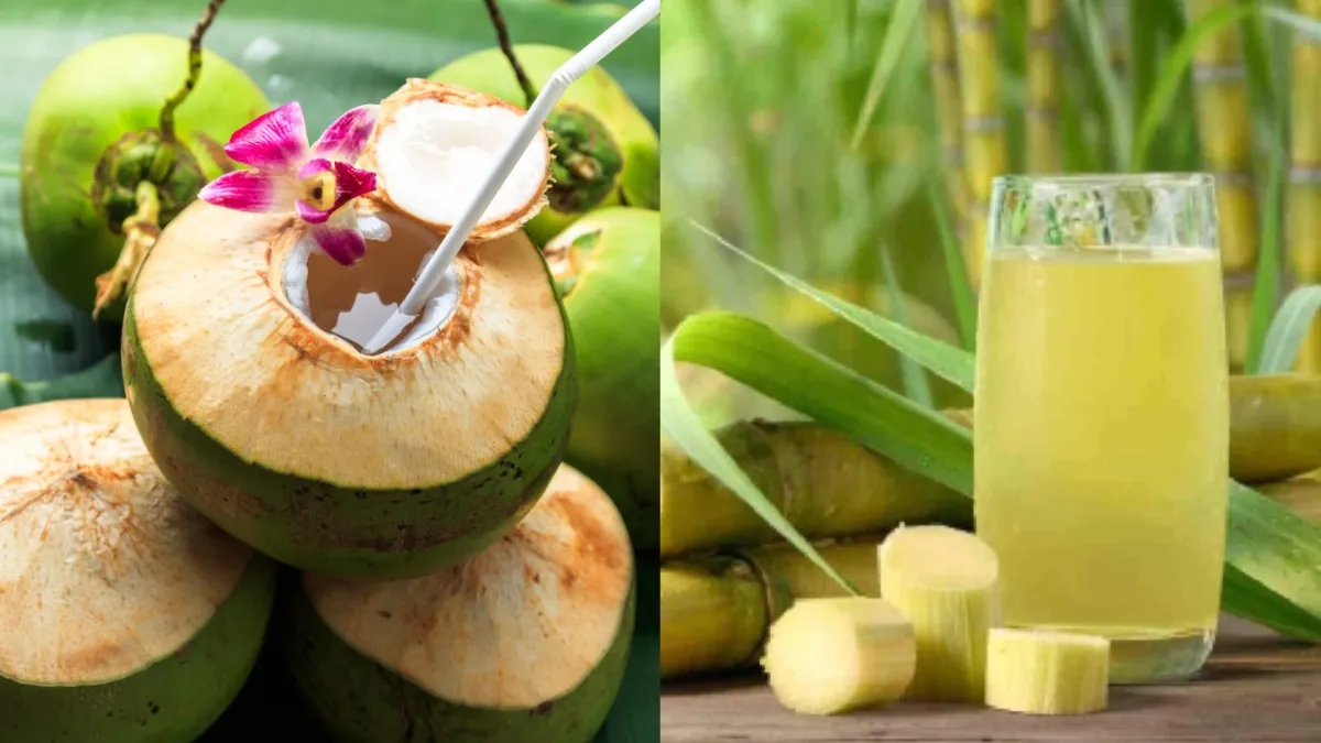 गर्मियों में नारियल पानी या गन्ने का जूस