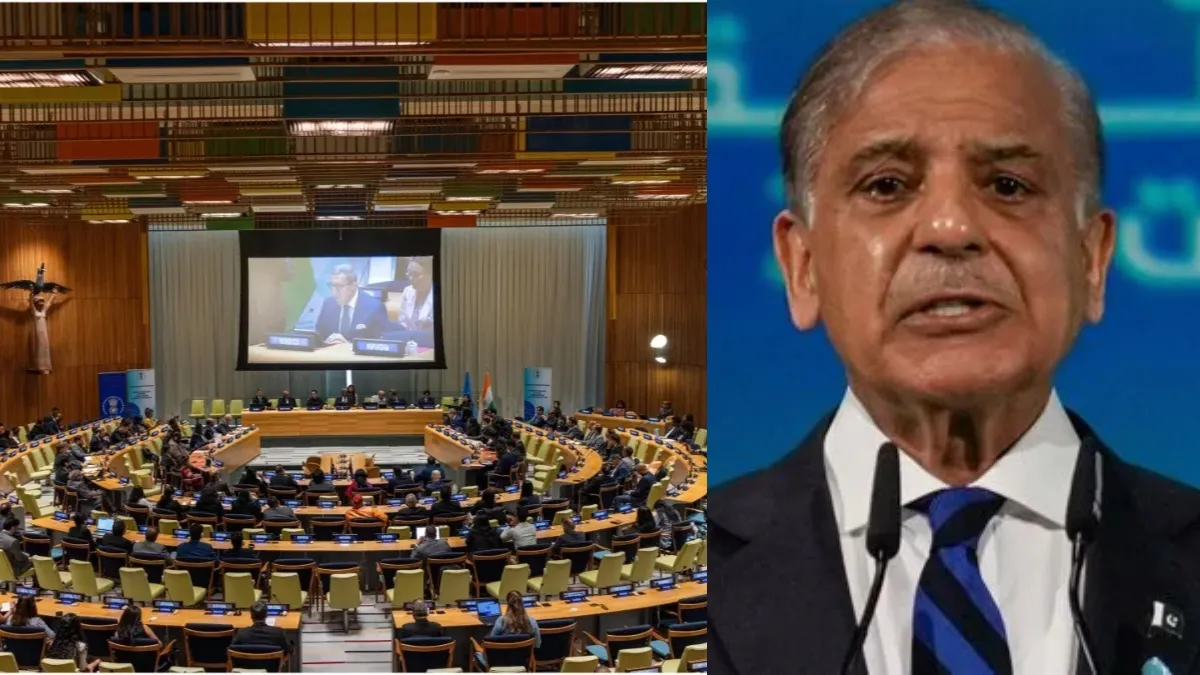 UN में पाकिस्तान को फिर लगी लताड़।