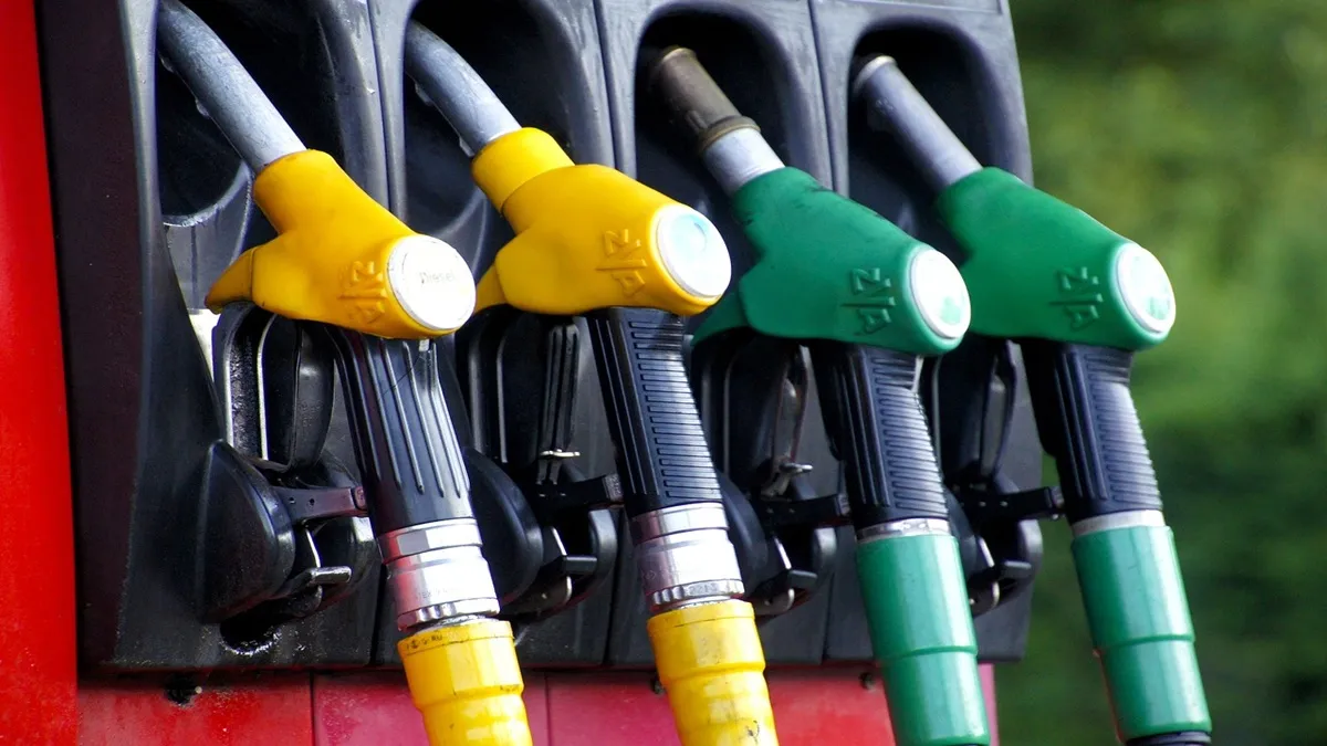 Many petrol pumps provide additional services so that the portfolio can be diversified.