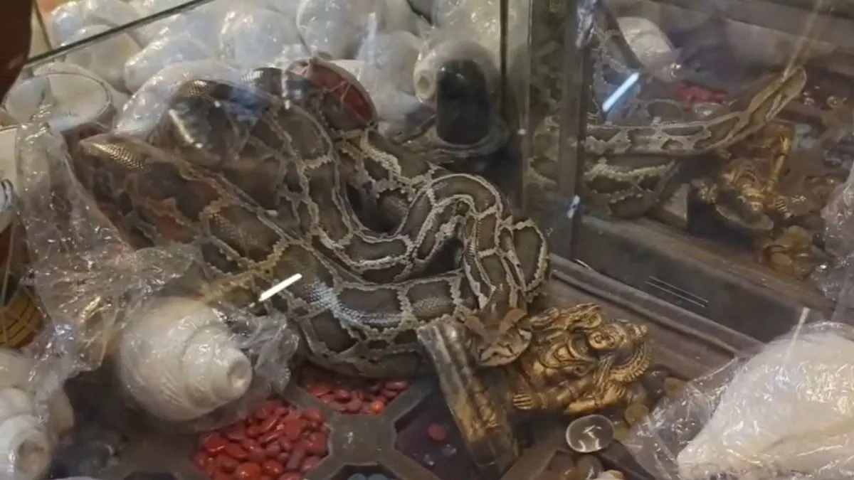 python- India TV Hindi