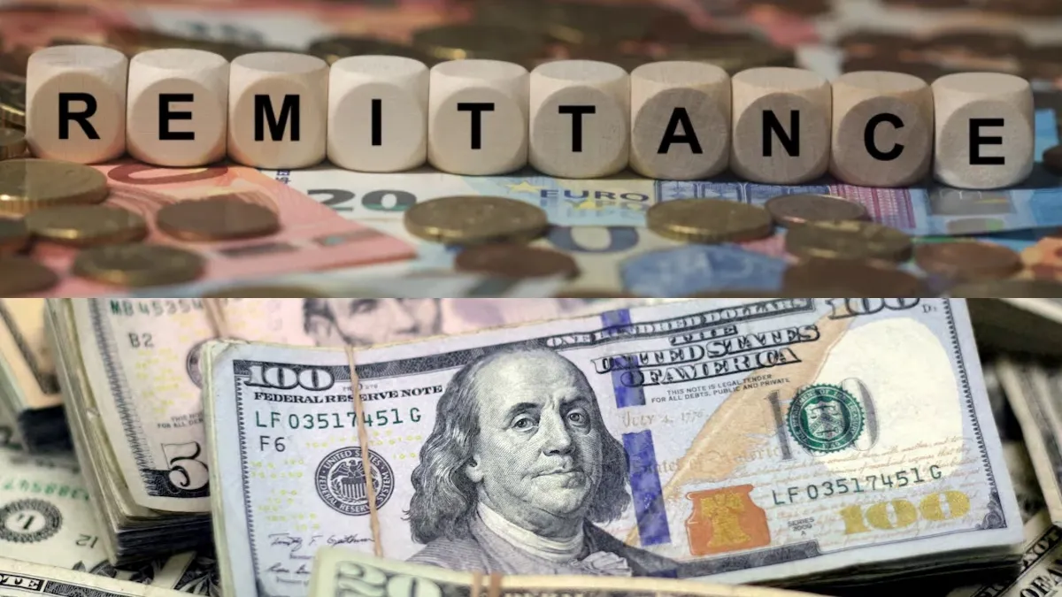Remittens