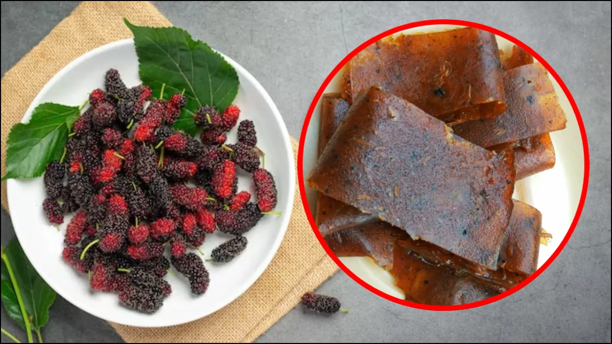Mulberry papad recipe