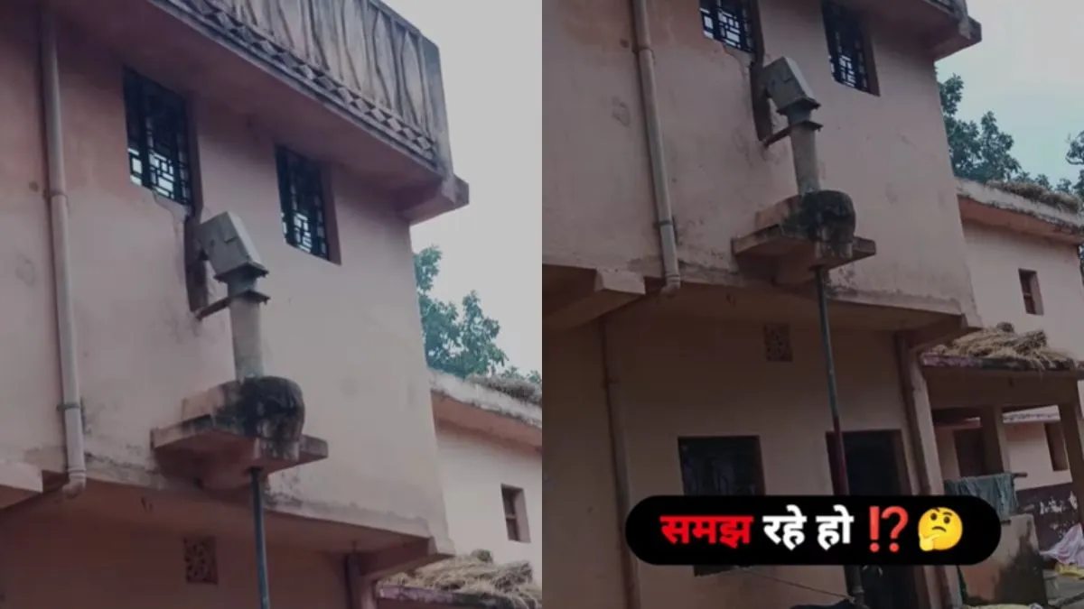 वायरल वीडियो का स्क्रीनशॉट- India TV Hindi