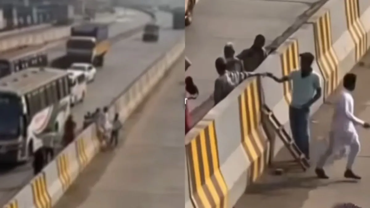 वायरल वीडियो का स्क्रीनशॉट- India TV Hindi