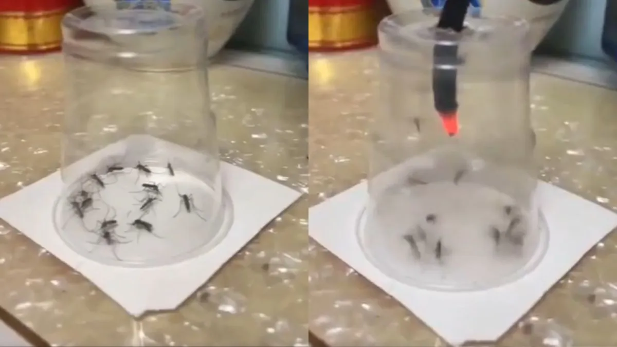 वायरल वीडियो का स्क्रीनशॉट- India TV Hindi