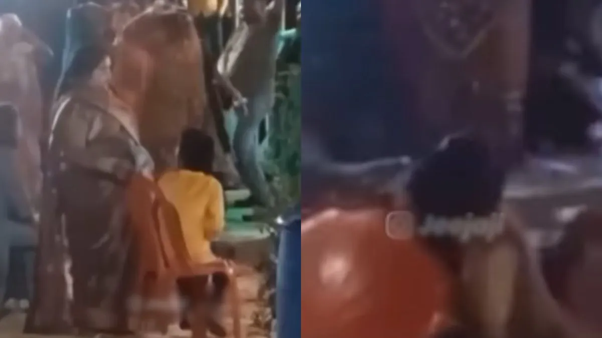 वायरल वीडियो का स्क्रीनशॉट- India TV Hindi