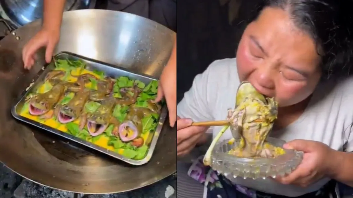 मेंढक को पकाकर खाती महिला- India TV Hindi