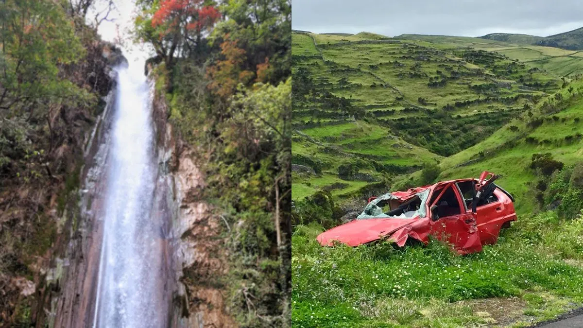 Uttarakhand Accident News, Tiger Falls Tragedy, Chakrata Tree Fall Deaths