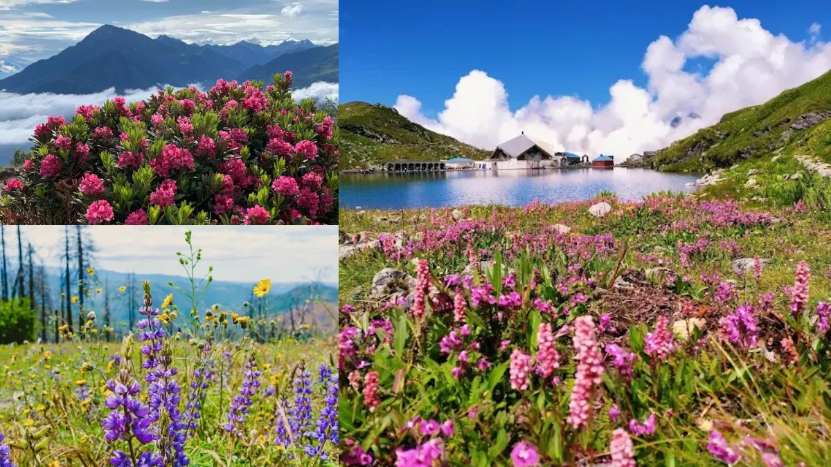 फूलों की घाटी, उत्तराखंड