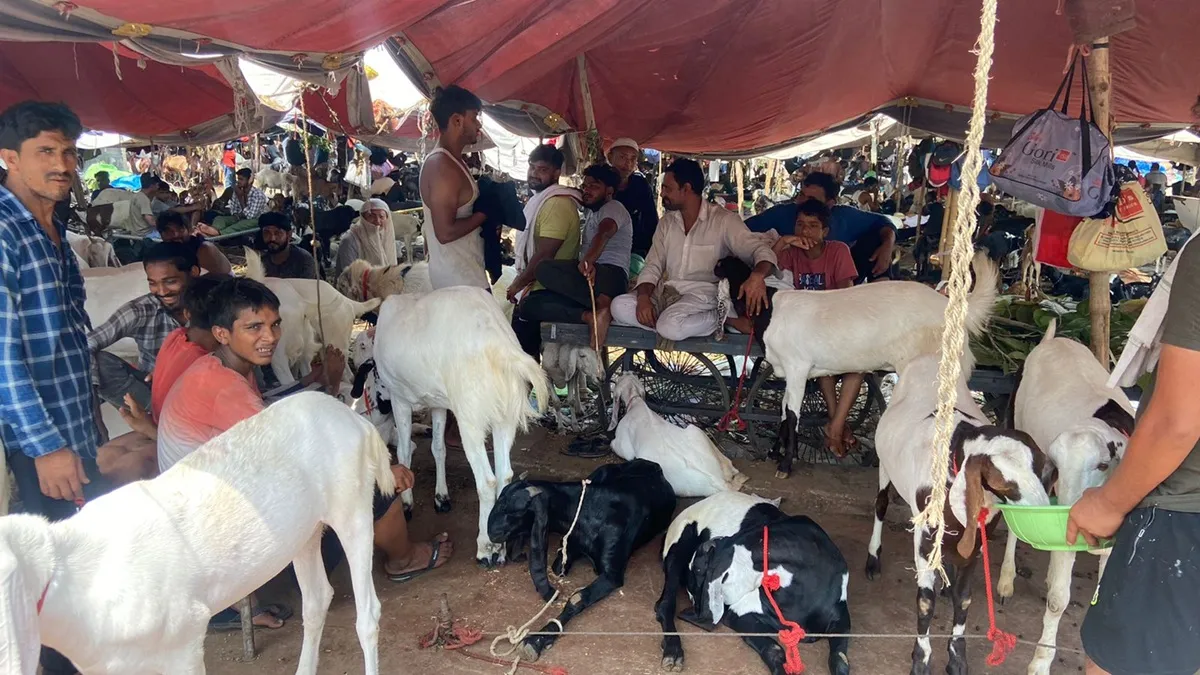 bakrid- India TV Hindi