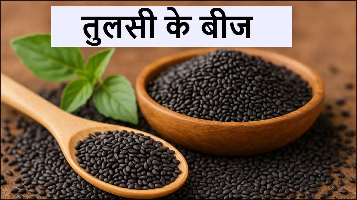 तुलसी के बीज के फायदे- India TV Hindi