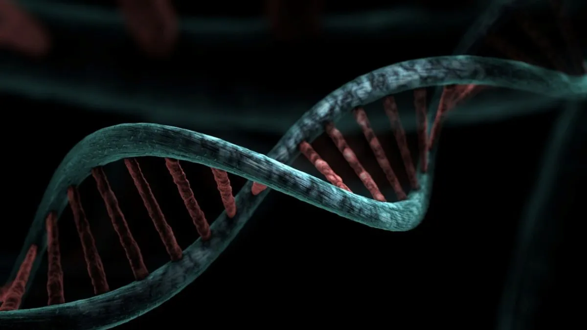 UK DNA experiment, artificial human DNA, Wellcome Trust genetics