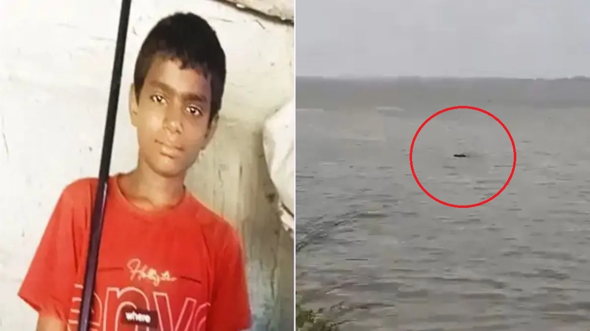 crocodile