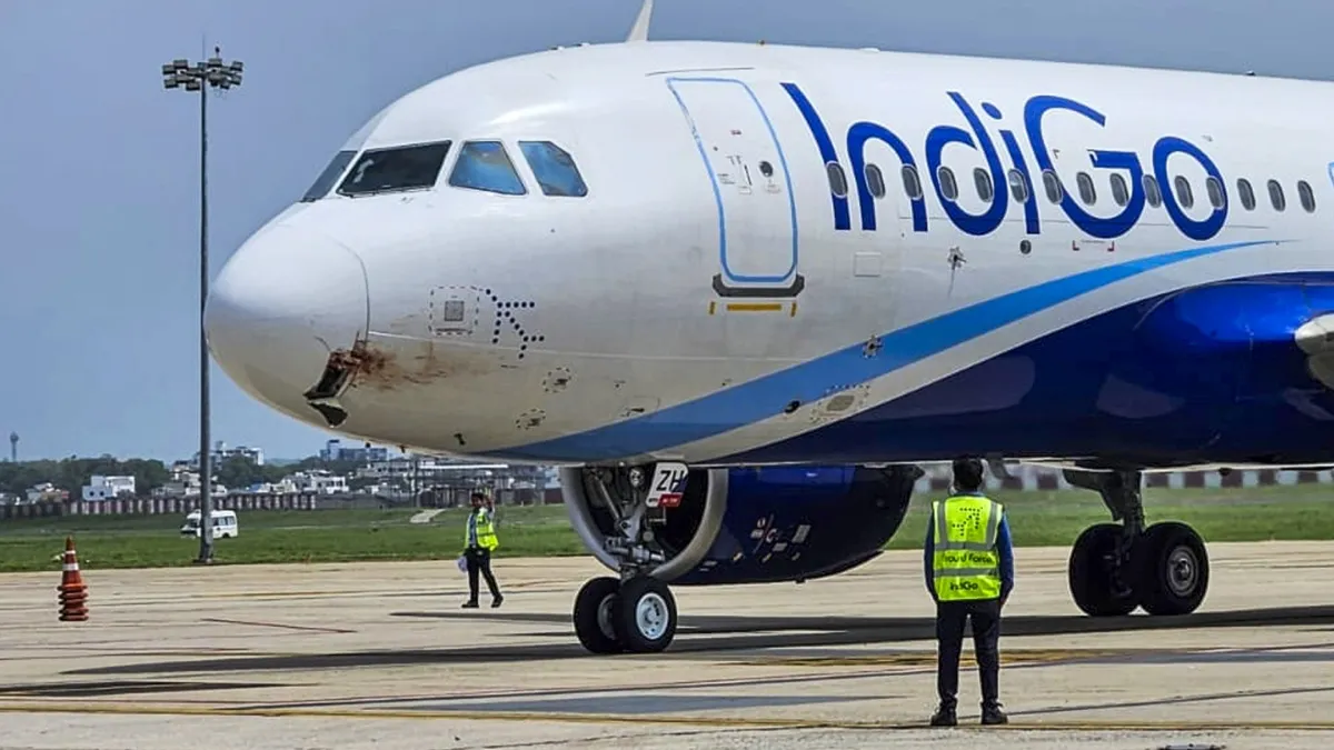 Indigo plane