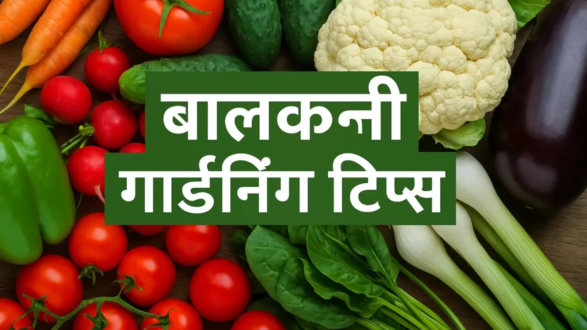 इन सब्जियों को घर की बालकनी में ही उगा सकते हैं 