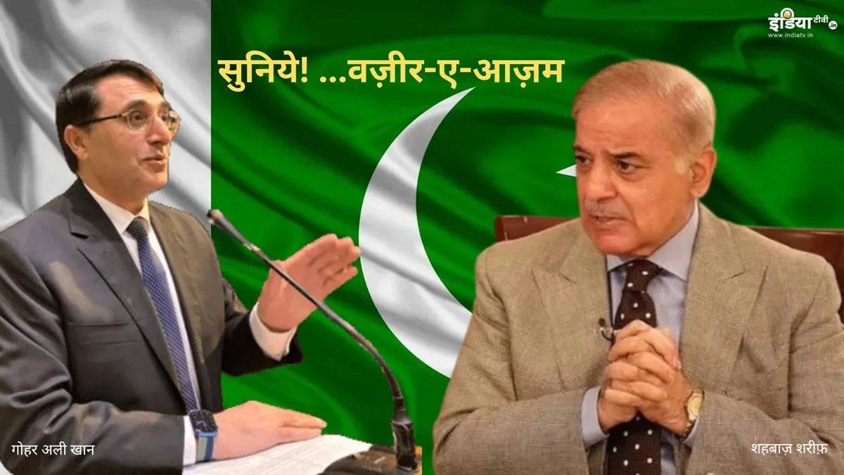 गोहर अली खान ने शहबाज शरीफ सरकार को एक तरह से आईना दिखाया।- India TV Paisa