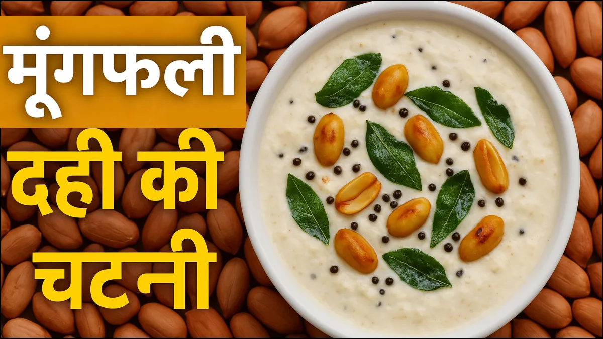 मूगफली और दही की चटनी रेसिपी