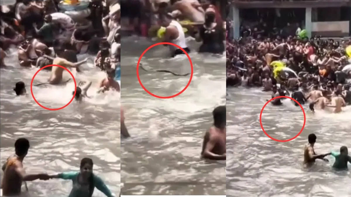 Snake Video In Kempty Falls- India TV Hindi