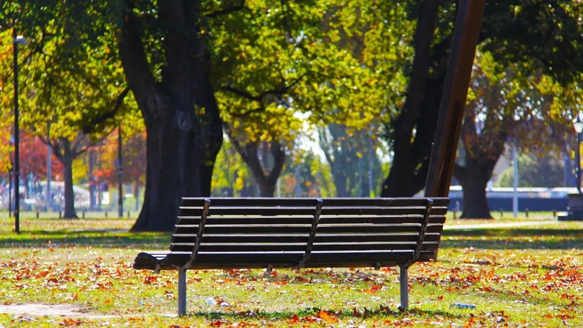 ऑपरेशन सिंदूर की थीम पर बनेगा सिंदूर वन।- India TV Hindi