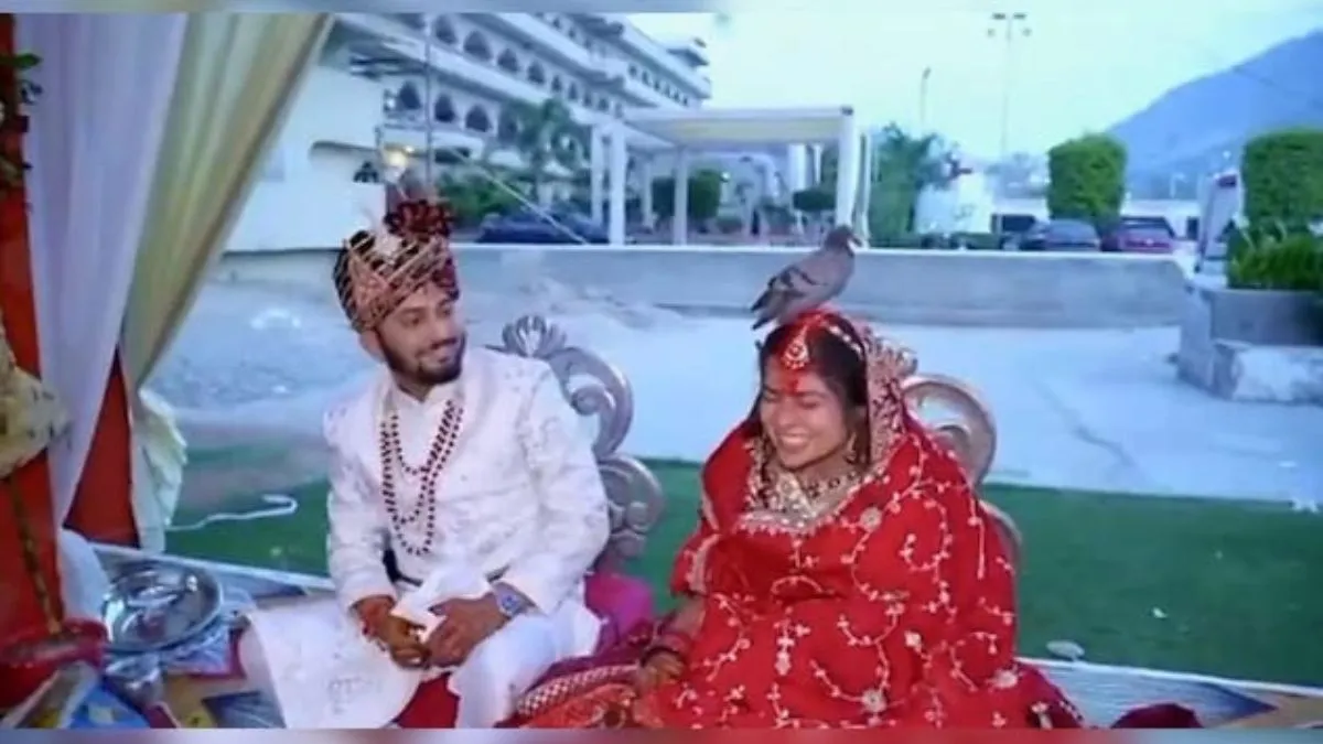 दूल्हन के सिर पर आकर बैठा कबूतर।