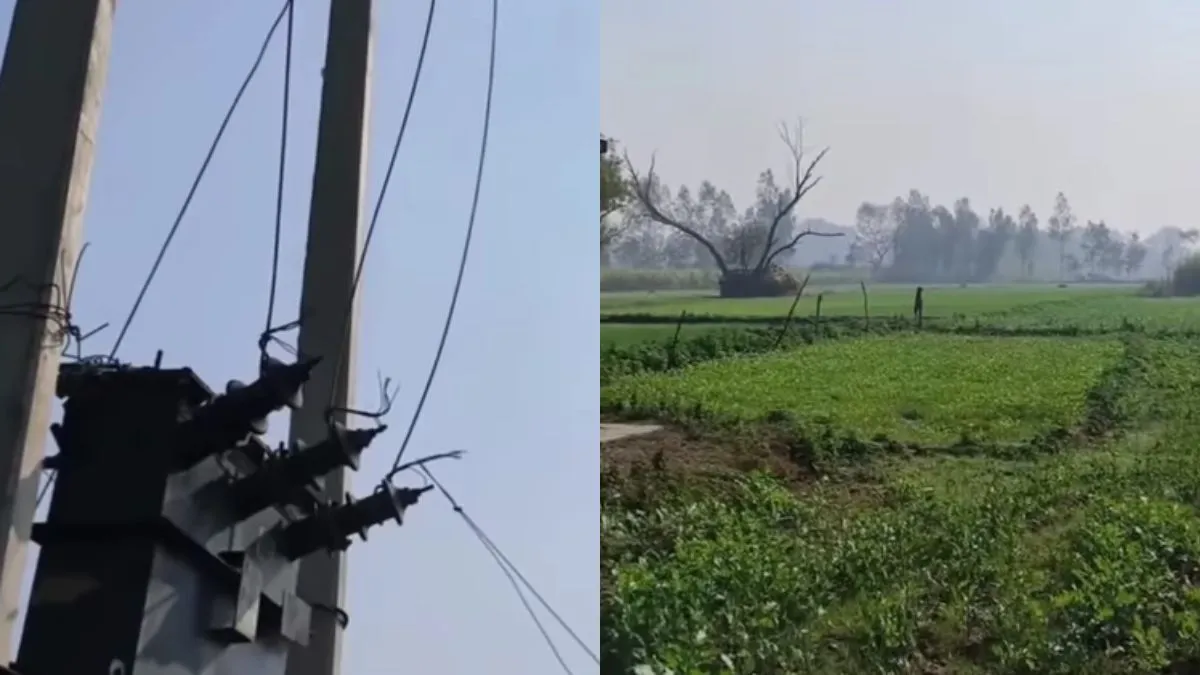 चारों तरफ से अपना खेत दिखाता शख्स- India TV Hindi