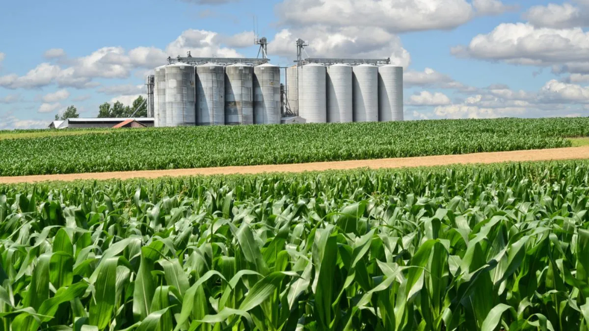 Ethanol 