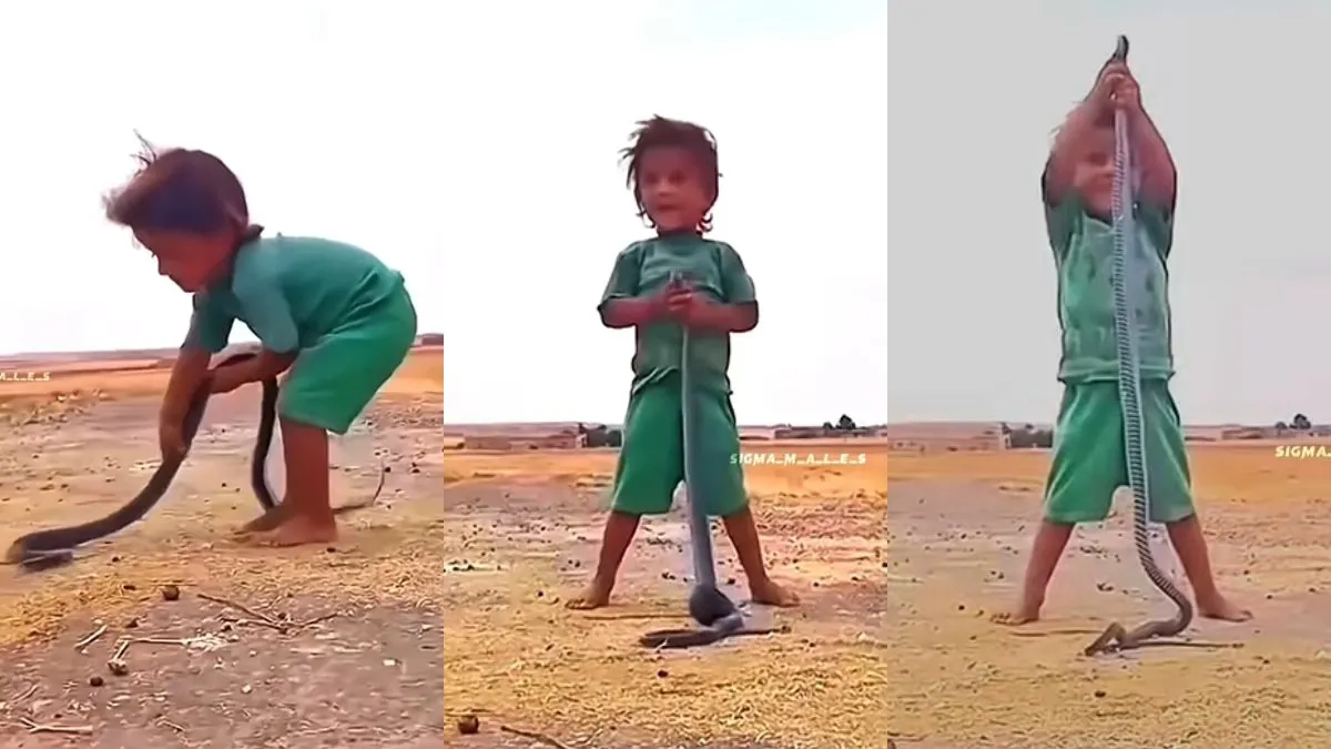 सांप को पकड़े हुए बच्चा