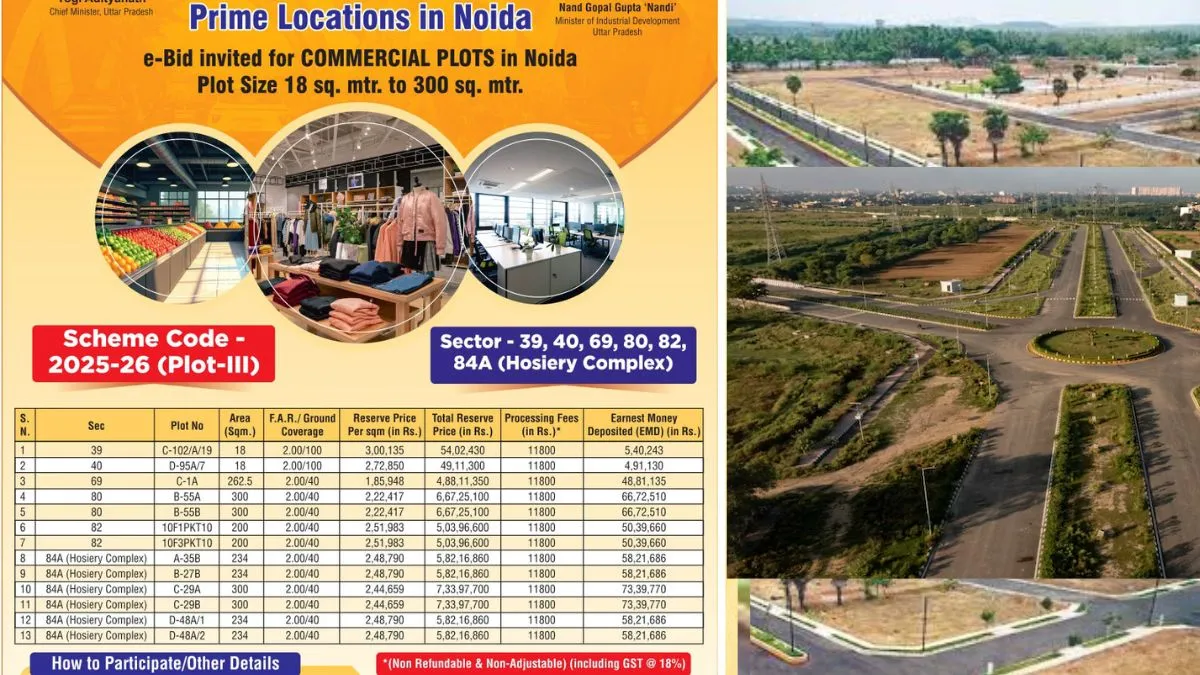 Commercial Plot Scheme
