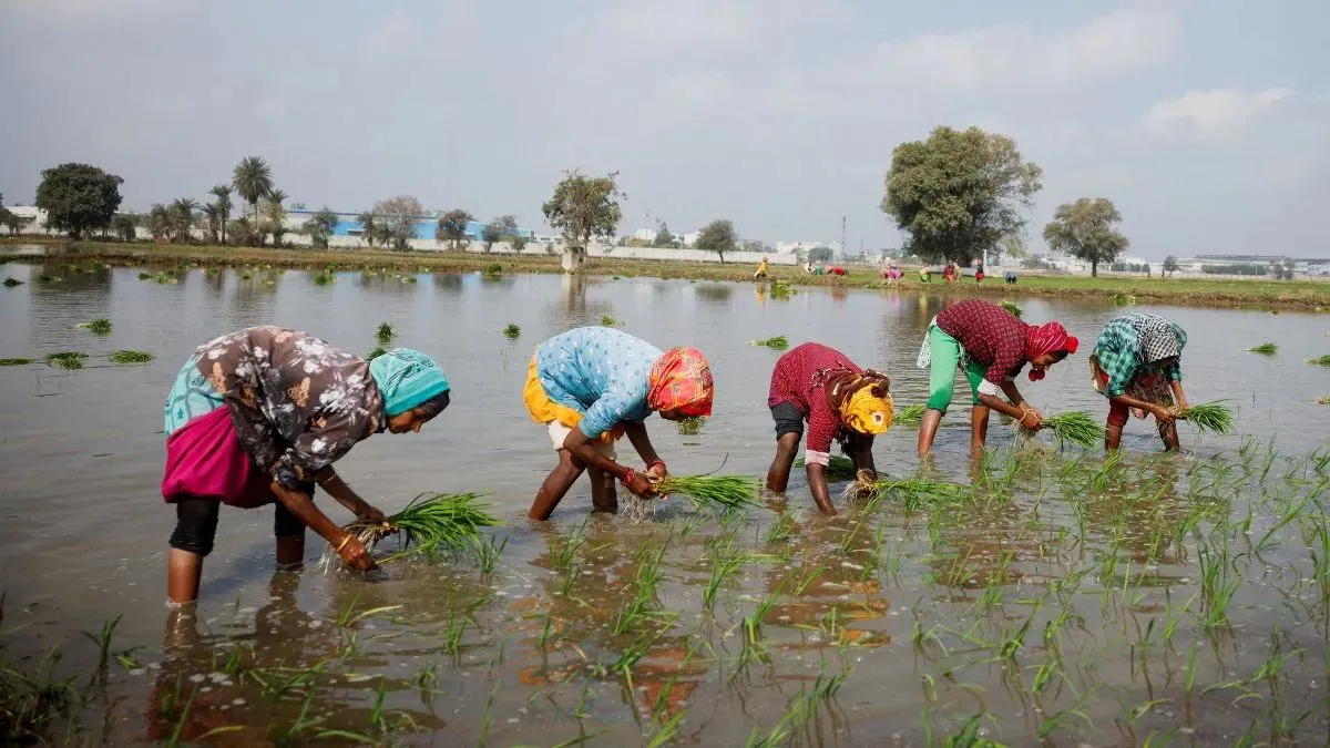 Farming- India TV Hindi