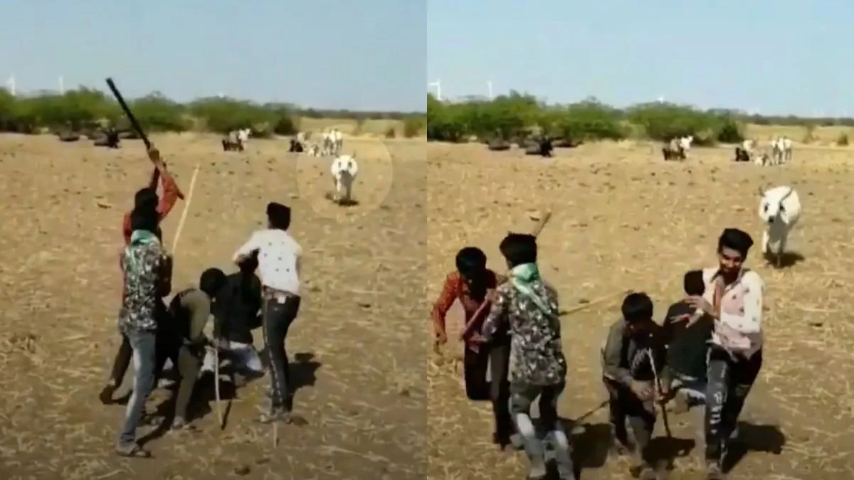 मालिक को बचाने दौड़ पड़ी गाय