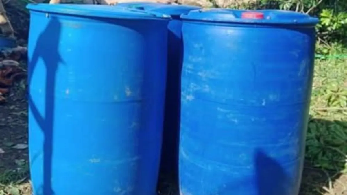 सांकेतिक तस्वीर- India TV Hindi