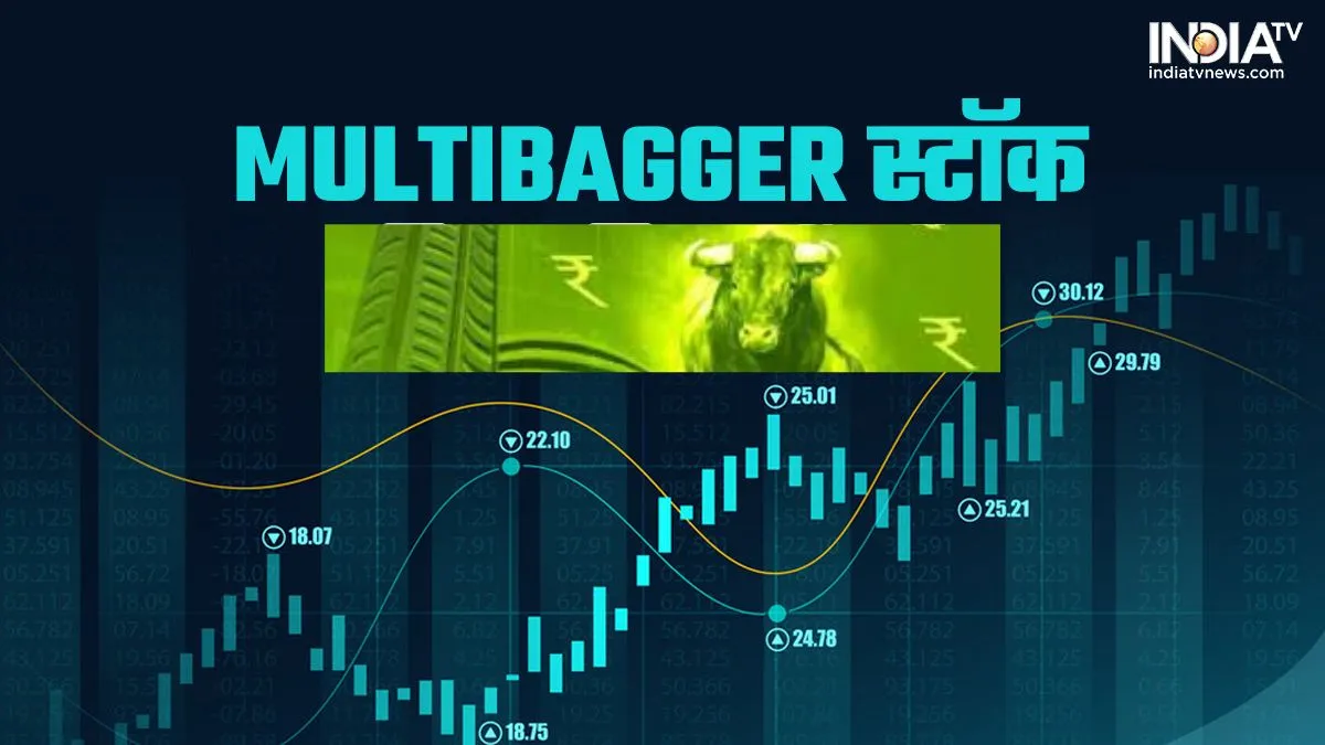 Multibagger Stock
