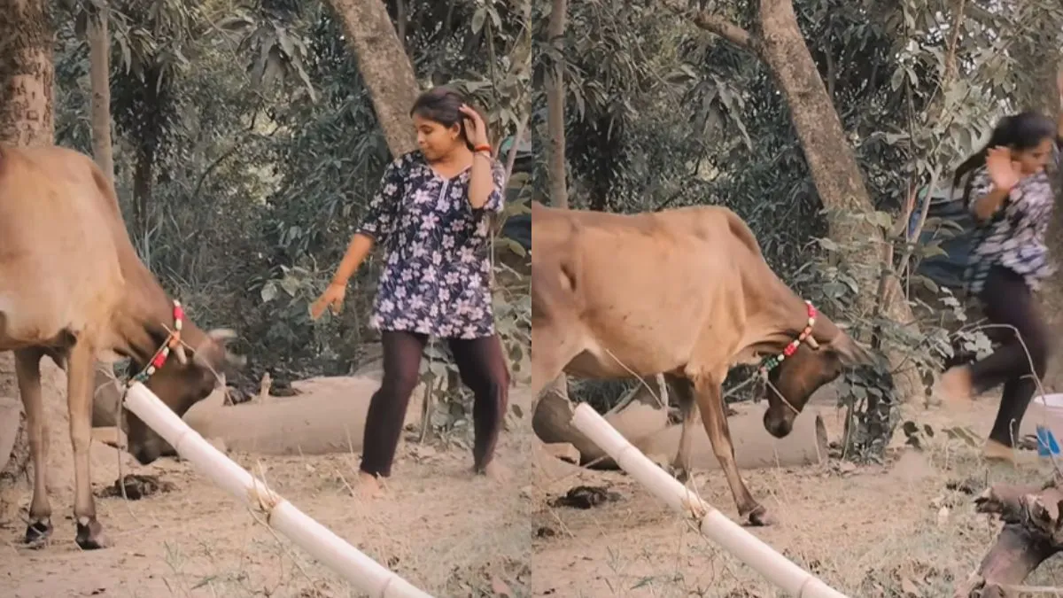 funny video, viral video, viral news, trending video- India TV Hindi