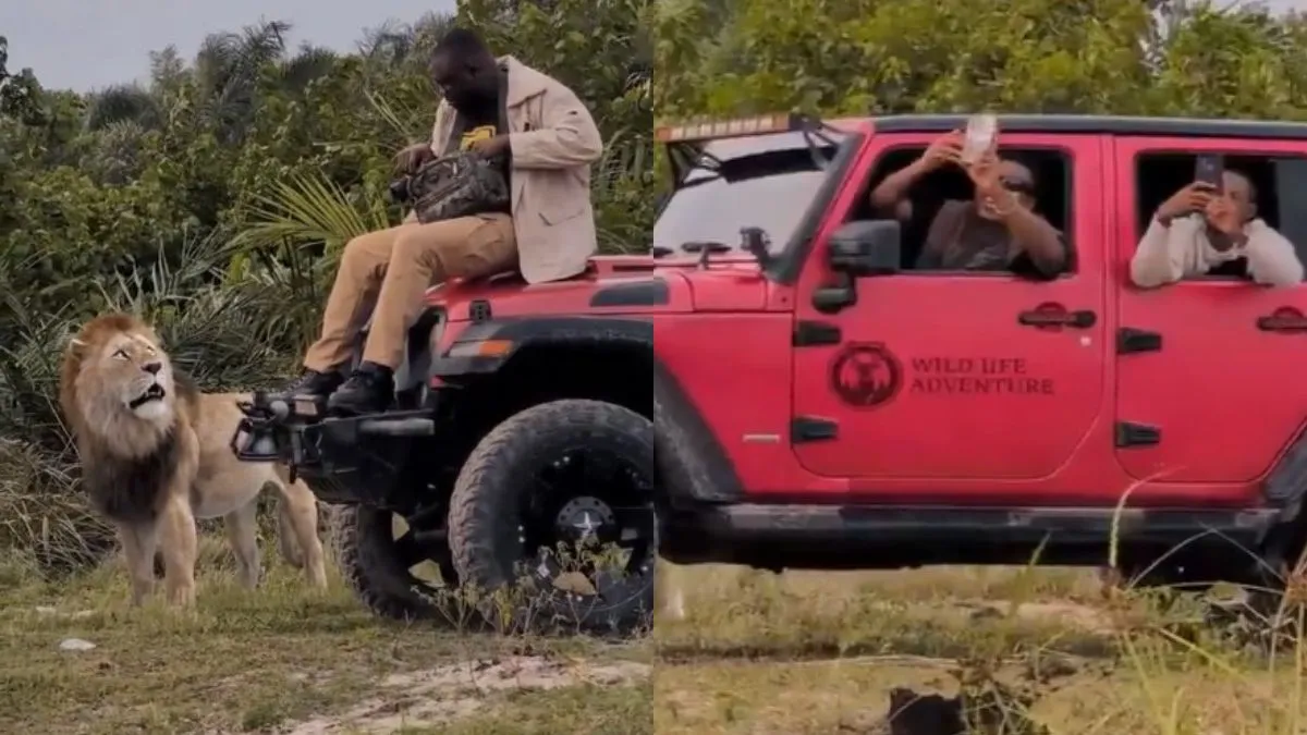 शेर के आने से दोस्तों के बीच मची दहशत- India TV Hindi