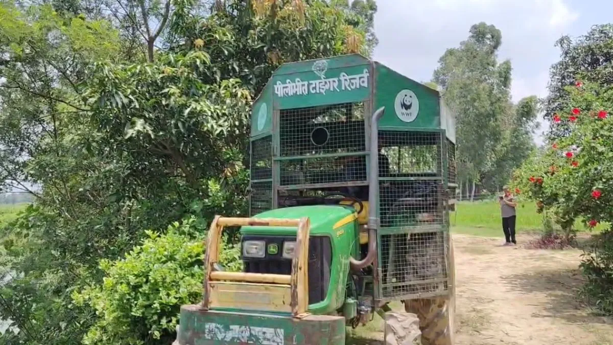 बाघ को पकड़ने के लिए लगाए गए पिंजरे- India TV Hindi