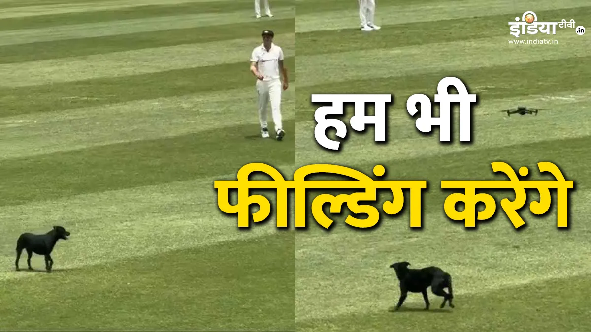WI vs AUS