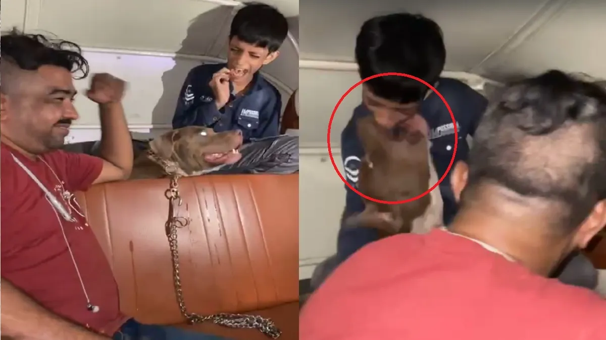 बच्चे को काटता पिटबुल नस्ल का कुत्ता- India TV Hindi