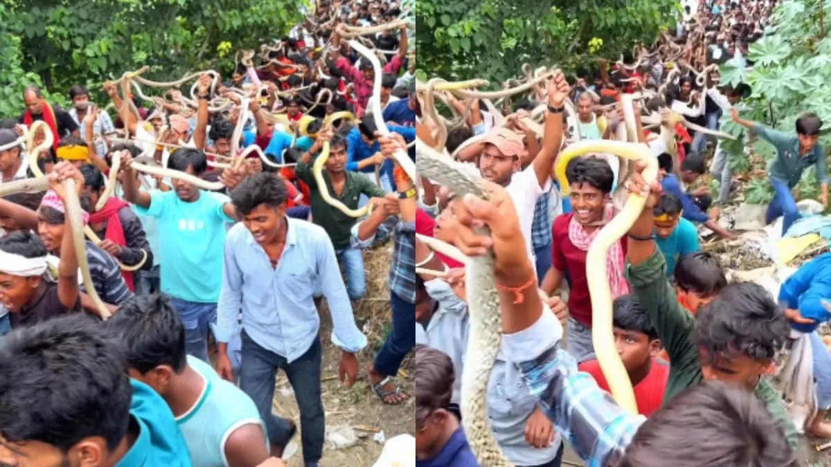 सांपों के साथ शोभा यात्रा निकालते लोग- India TV Hindi