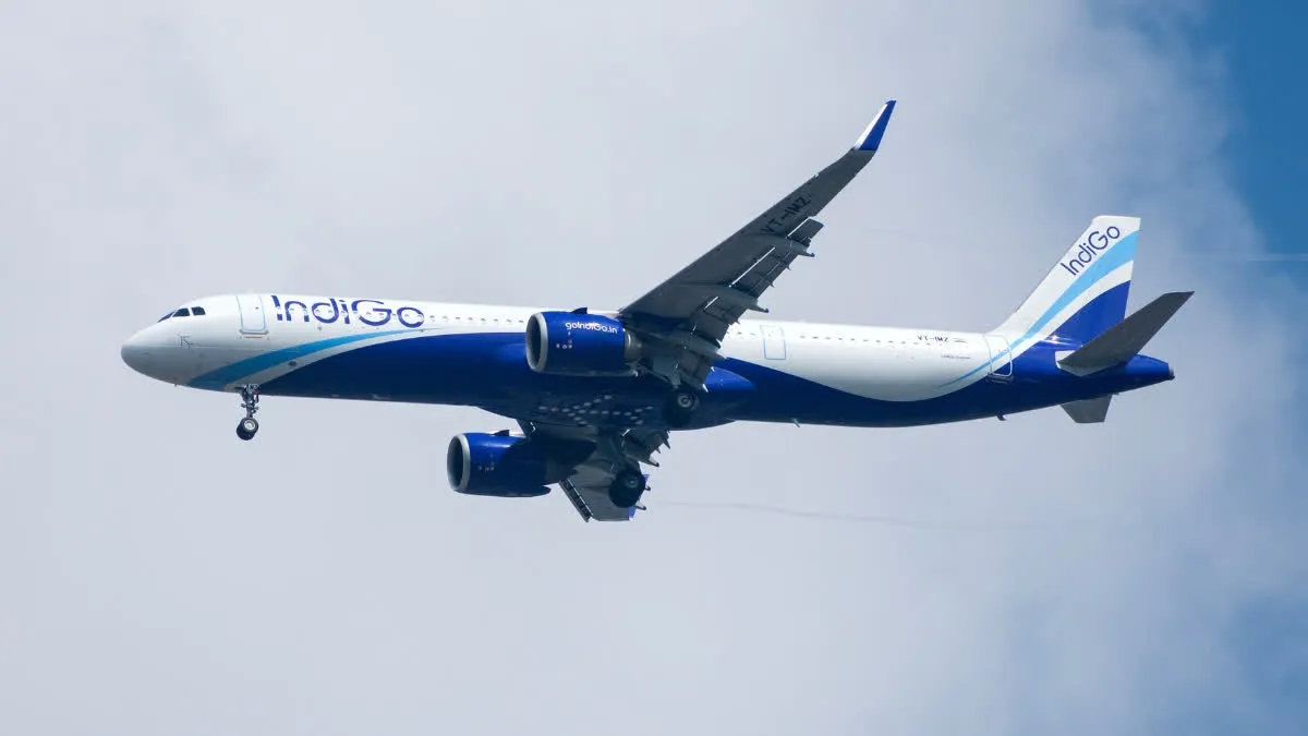 indigo flight