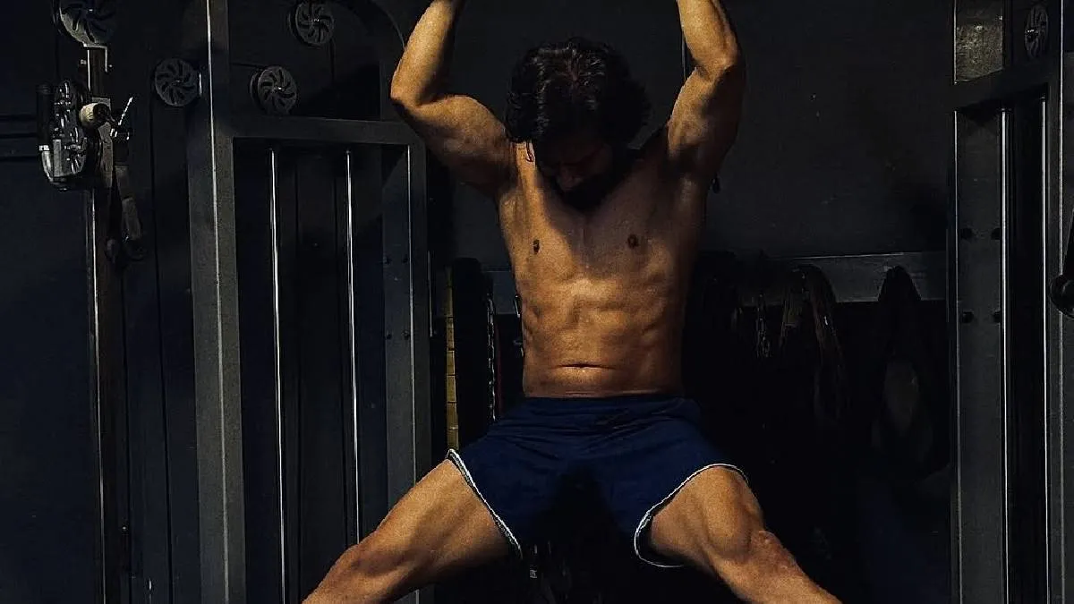 karan veer mehra