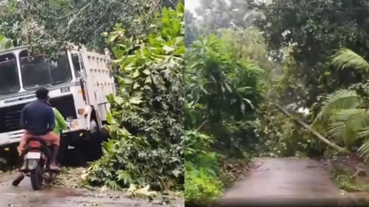Kerala Tree falls- India TV Hindi