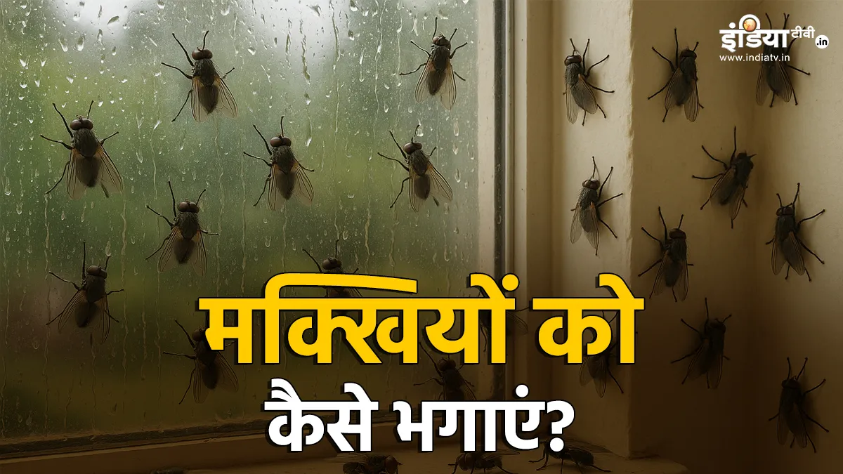 मक्खियों को भगाने के तरीके