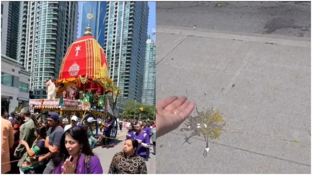 Eggs were thrown at Lord Jagannaths Rath Yatra in Canada Indian government called it unfortunate